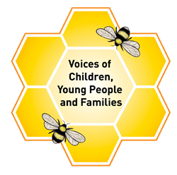 Voice of the children logo